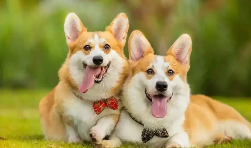 һ�Ķ���Ȯ����